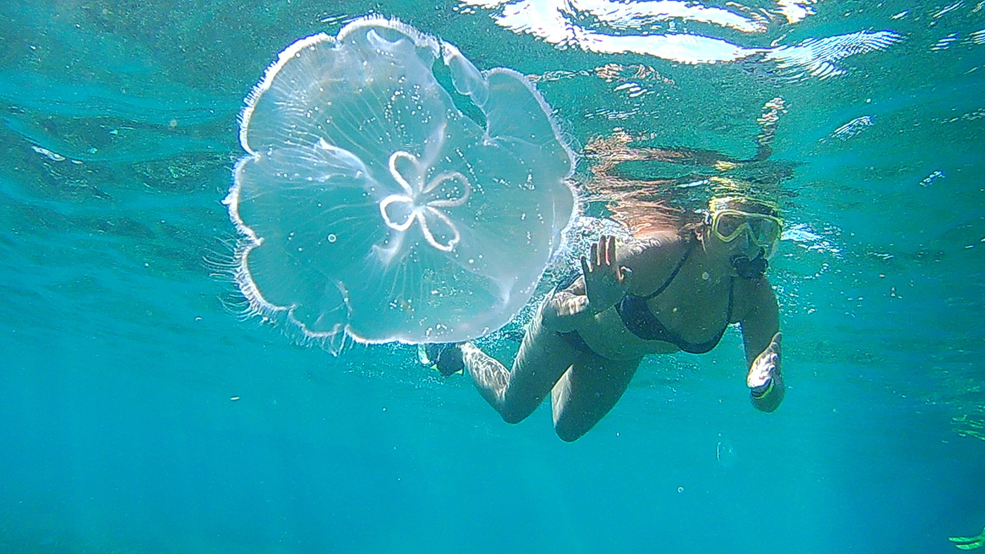 Anda De Wata Tours - Snorkeling - Snorkel Tours - Coral Gardens - Barrier Reef - Belize