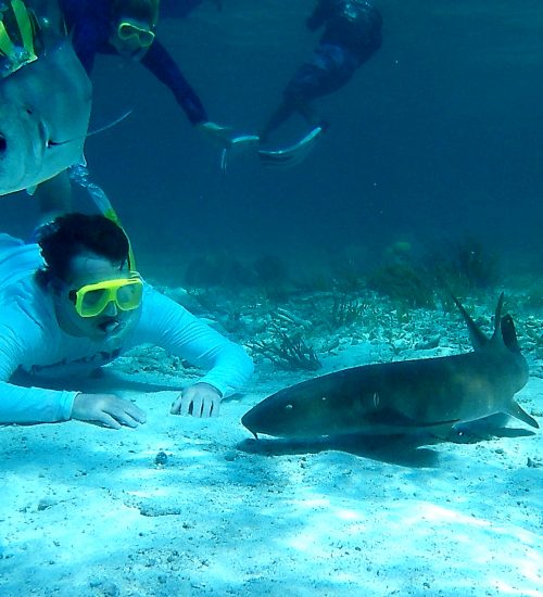 Anda De Wata Tours - Snorkel Tours - Snorkeling - Belize