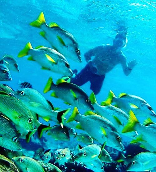 Anda De Wata Tours - Snorkel Tours - Snorkeling - Belize