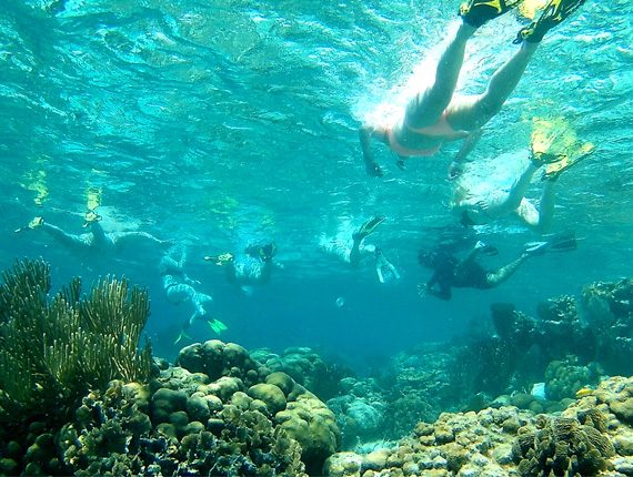 Caye Caulker Marine Reserve - Snorkel Tours - Anda De Wata - Snorkel Coral Gardens - Snorkel Belizes Barrier Reef