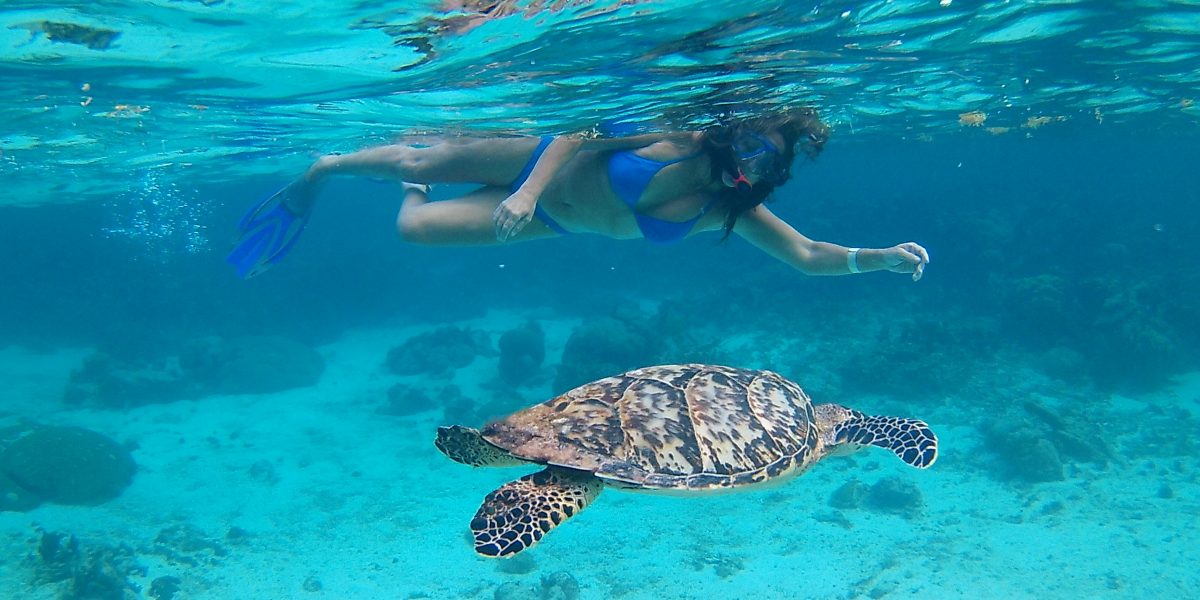 Hol Chan Marine Reserve - Snorkel Tours - Anda De Wata - Snorkel with sea Turtles - Sharks and Sting Rays - Ambergris Caye island - Barrier Reef