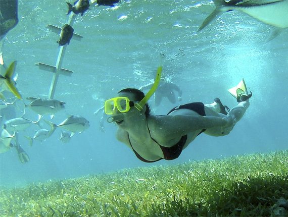 Hol Chan Marine Reserve - Snorkel Tours - Anda De Wata - Coral Gardens - Barrier Reef - Ambergris Caye island