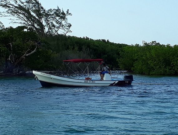 Island Tubing - Caye Caulker’s Coast - Sunset Tube Ride - Rum Punch - Anda De Wata Tours