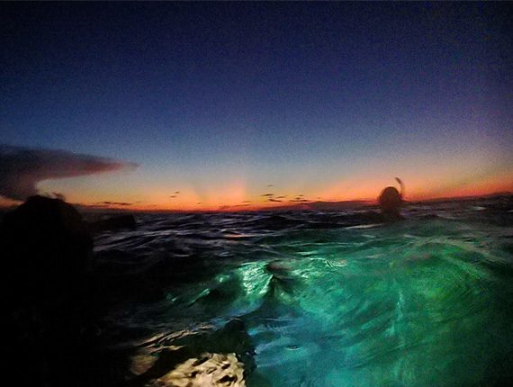Night Snorkel - Snorkel Tours - Snorkeling Belize - Anda De Wata - Sunset and Moon Rise view
