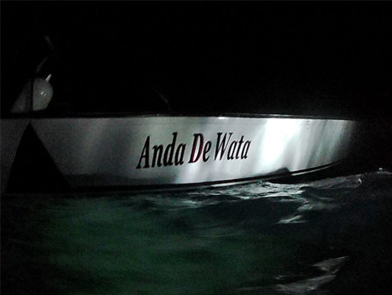 Night Snorkel - Snorkel Tours - Snorkeling Belize - Anda De Wata