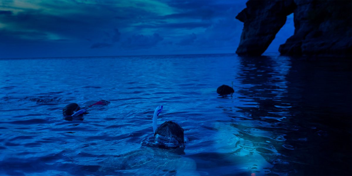 Night Snorkel - Snorkel Tours - Snorkeling Belize - Anda De Wata
